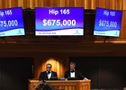 Hip 165, Tapit's highest-priced filly, sold for $675,000 during the second session of Fasig-Tipton's Saratoga sale