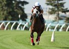 Cool Catomine works six furlongs in 1:14 4/5 over the Woodbine turf Aug. 9