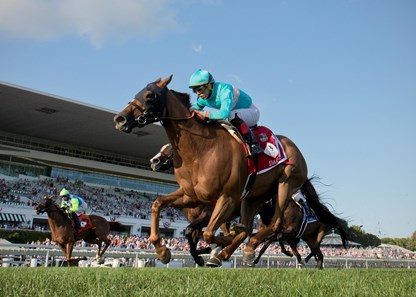 Dacita winning The Beverly D. at Arlington International on 8/12/17, jockey Irad Ortiz Jr up