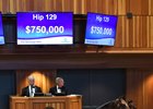 Hip 129 sold to OXO Equine's Larry Best