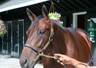 Hip 44 is one of two colts by Medaglia d'Oro that top the Hips to Watch list