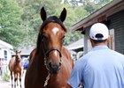 Hip 371, a City Zip colt out of Nick's Honor, is a half brother to four stakes horses
