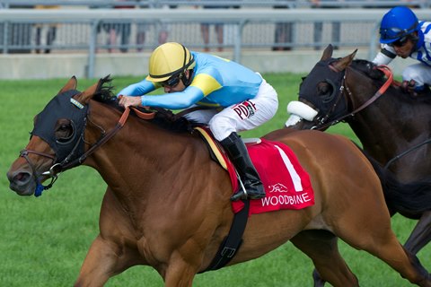 Can'thelpbelieving wins the Sky Classic under jockey Joe Bravo by 1 1/4 lengths
