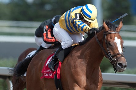 Jockey Sheena Ryan guides Be Vewy Vewy Quiet to victory in the 2017 Clarendon Stakes
