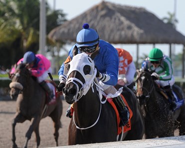 Go Astray wins the 2017 Florida Stallion Series - the Desert Vixen