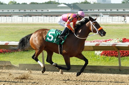 Money'soncharlotte wins the 2017 Lady Jacqueline Stakes