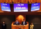 The $500,000 paid for a Cairo Prince colt set a record for the sale's highest price