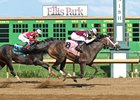 Tiger Moth wins the Ellis Park's Groupie Doll Stakes