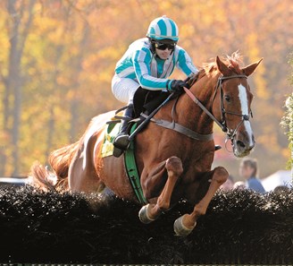 Good Night Shirt ridden by William Dowling, trained by Jack Fisher and owned by Harold A. Via Jr. makes the final fence of The Grand National Steeplechase GI at the Far Hill Race Course in Far Hills, New Jersey October 18, 2008. The event was a 2 5/8 mile contest over National Fences.