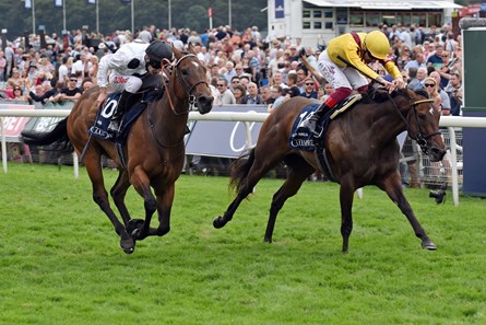 25.08.2017, York, GB, Marsha (left) with Luke Morris up wins the Nunthorpe Stakes. Photo FRANK SORGE/Racingfotos.com
THIS IMAGE IS SOURCED FROM AND MUST BE BYLINED "RACINGFOTOS.COM"