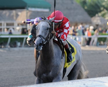 Phantom Ro wins the 2017 Florida Stallion Series - Dr. Fager