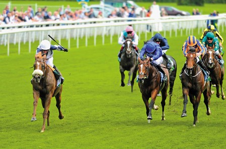 YORK 23-8-2017. Juddmonte International Stakes.
ULYSSES and Jim Crowley (left) win for trainer Michael Stoute from CHURCHILL (right) and BARNEY ROY.
Photo Healy Racing / Racingfotos.com
THIS IMAGE IS SOURCED FROM AND MUST BE BYLINED "RACINGFOTOS.COM"