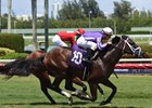 Editorial breaks his maiden at Gulfstream in his second start June 15