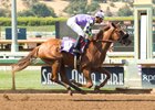 Spectator won her debut by 5 1/4 lengths