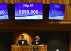 John Oxley purchased Hip 81, a son of Uncle Mo, for $650,000