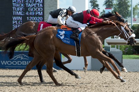 Melmich wins the 2017 Seagram Cup (G3)