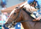 Dak Attack and Robby Albarado make a move from mid-pack to win the Ellis Park Juvenile