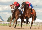 Melmich (outside) gets a nose in front of Are You Kidding Me in the 2017 Seagram Cup at Woodbine