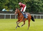 To Eternity after winning the British Stallion Studs EBF Chalice Stakes at Newmarket