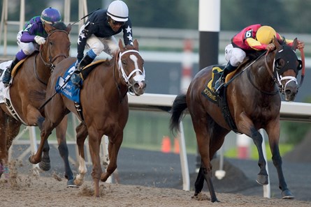 Listenlindalisten wins the 2017 Passing Mood Stakes