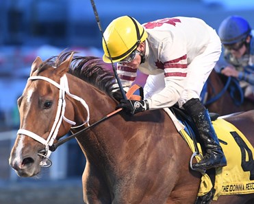 Mywomanfromtokyo wins the 2017 Donna Reed Stakes