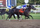 Neolithic returns to winning form by a neck going seven furlongs at Saratoga Race Course