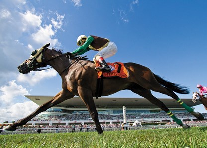 POSTULATION; The American St. Leger; G3T; Arlington Park; Arlington International; August 12 2017; Edward Graham