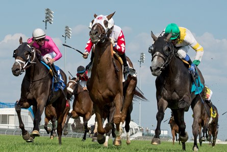 Channel Maker wins the 2017 Breeders' Stakes