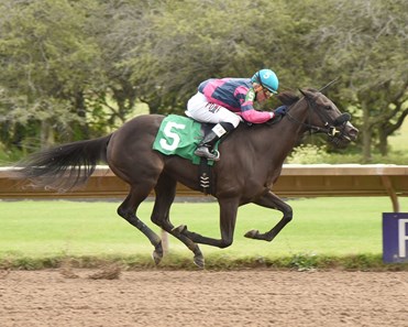 Indy's Lady wins the 2017 Lady Finger Stakes