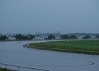 Palm Meadows weathered Hurricane Irma despite the mark left on South Florida by the storm