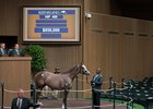 A Violence-Melody Lady yearling sells for $850,000 during Book 2