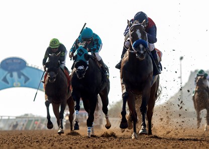 Miss Sunset wins the 2017 C.E.R.F. Stakes