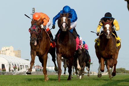 Johnny Bear wins the Northern Dancer Stakes (GIT) at Woodbine.