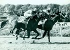 Hansel holds off Strike the Gold in the 1991 Belmont Stakes