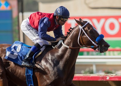 Miss Sunset wins the 2017 C.E.R.F. Stakes