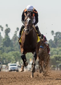 Paradise Woods and jockey Flavien Prat win the G1 Zenyatta Stakes, Saturday, September 30, 2017 at Santa Anita Park, Arcadia CA.