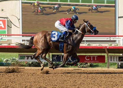 Miss Sunset wins the 2017 C.E.R.F. Stakes