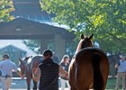 The Keeneland September sale produced record average and median prices