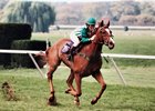 Lonesome Glory wins the 1993 Breeders' Cup Steeplechase