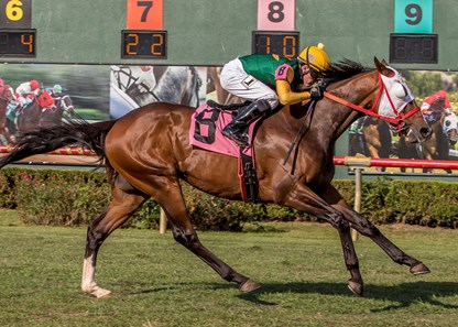 Net Gain ridden by Glenn Corbett wins the Unbridled Stakes at Louisiana Downs.