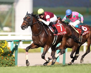 Fine Needle wins the 2017 Centaur Stakes (G2)