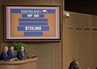 Hip 820, a colt by Curlin out of Sumptuous, sells for $725,000