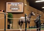 Hip 1038, a Tapit filly out of Believe You Can, sells for $1 million