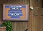Hip 236 sold for $675,000 at the Keeneland September yearling sale