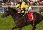 Graded stakes winner Quidura will be offered at the Fasig-Tipton November sale