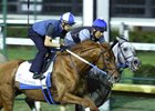 Gun Runner (outside) worked five furlongs in company with Gettysburg Sept. 24