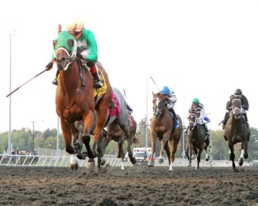 Stardoza wins the 2017 Mrs. Henry D. Paxson Memorial Stakes