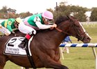 Projected wins the Baltimore/Washington Turf Cup