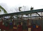 Hipodromo Camarero after Hurricane Maria