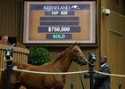 Hip 900, a Distorted Humor filly, brought $750,000